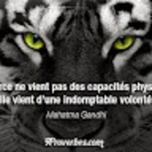 Meet your Posher, Michael alexandre